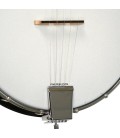 Goldtone AC-1 Beginner Banjo
