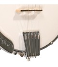 Gold Tone CC-100 Beginner Banjo with FREE Beginner Kit