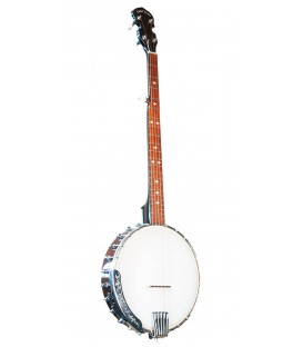 Gold Tone CC-100 Plus Open Back