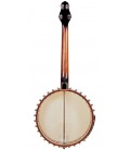 Gold Tone CEB-4 Cello Banjo - 4-string