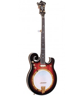 Gold Tone EBM 5 Electric Banjo