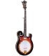 Gold Tone EBM 5 Electric Banjo