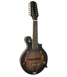 Gold Tone F-12 - 12-string F-style Mando-Guitar with Pickup and Case