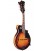 Gold Tone GM-35 F Style Mandolin