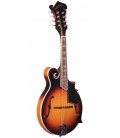 Gold Tone GM-35 F Style Mandolin