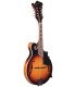 Gold Tone GM-35 F Style Mandolin