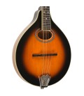 Mandolin - Goldtone - GM-50 Plus