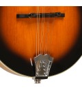 Mandolin - Goldtone - GM-50 Plus