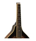Mandolin - Goldtone - GM-50 Plus