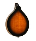 Mandolin - Goldtone - GM-50 Plus