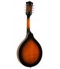 Mandolin - Goldtone - GM-50 Plus