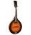 Gold Tone - A-Style Mandolin with Pickup - GM-50+