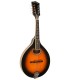 Gold Tone - A-Style Mandolin with Pickup - GM-50+