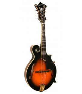 Mandolin - Goldtone - GM-70 Plus - with free hard case