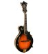 Mandolin - Gold Tone - GM-70 Plus - with free hard case