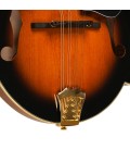 Mandolin - Goldtone - GM-70 Plus - with free hard case