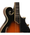 Mandolin - Goldtone - GM-70 Plus - with free hard case