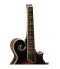 Mandolin - Goldtone - GM-70 Plus - with free hard case