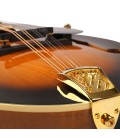 Mandolin - Goldtone - GM-70 Plus - with free hard case