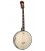 Gold Tone IT-250  - Open Back - 17 Fret Irish Tenor Banjo