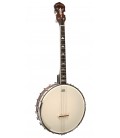 Gold Tone IT-250  - Open Back - 17 Fret Irish Tenor Banjo