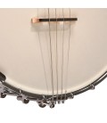 Gold Tone IT-250  - Open Back - 17 Fret Irish Tenor Banjo