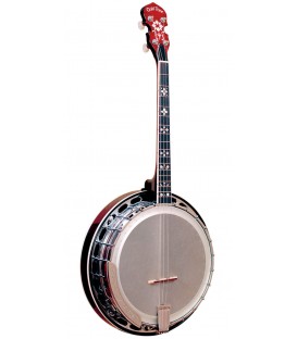 Gold Tone IT-250R -  With Resonator - 17 Fret Irish Tenor Banjo