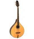 Mandolin - Goldtone - OM-800 - Octave Mandolin