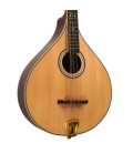 Mandolin - Goldtone - OM-800 - Octave Mandolin