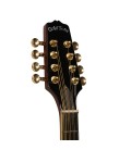Mandolin - Goldtone - OM-800 - Octave Mandolin