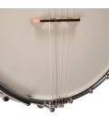 Gold Tone White Lady WL-250 Open Back Banjo