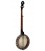 Gold Tone White Lady WL-250 Open Back Banjo