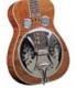 Resophonic Guitar - Regal - Flamed Mahogany