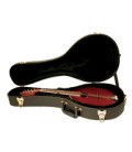 Mandolin Case - GoldTone (HDM) shaped