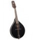 Mandolin - Saga - Kentucky Standard Oval Hole Mandolin KM-171