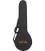 Cases-Heavy Padded Bag Special Price - This case not sold separately without banjo